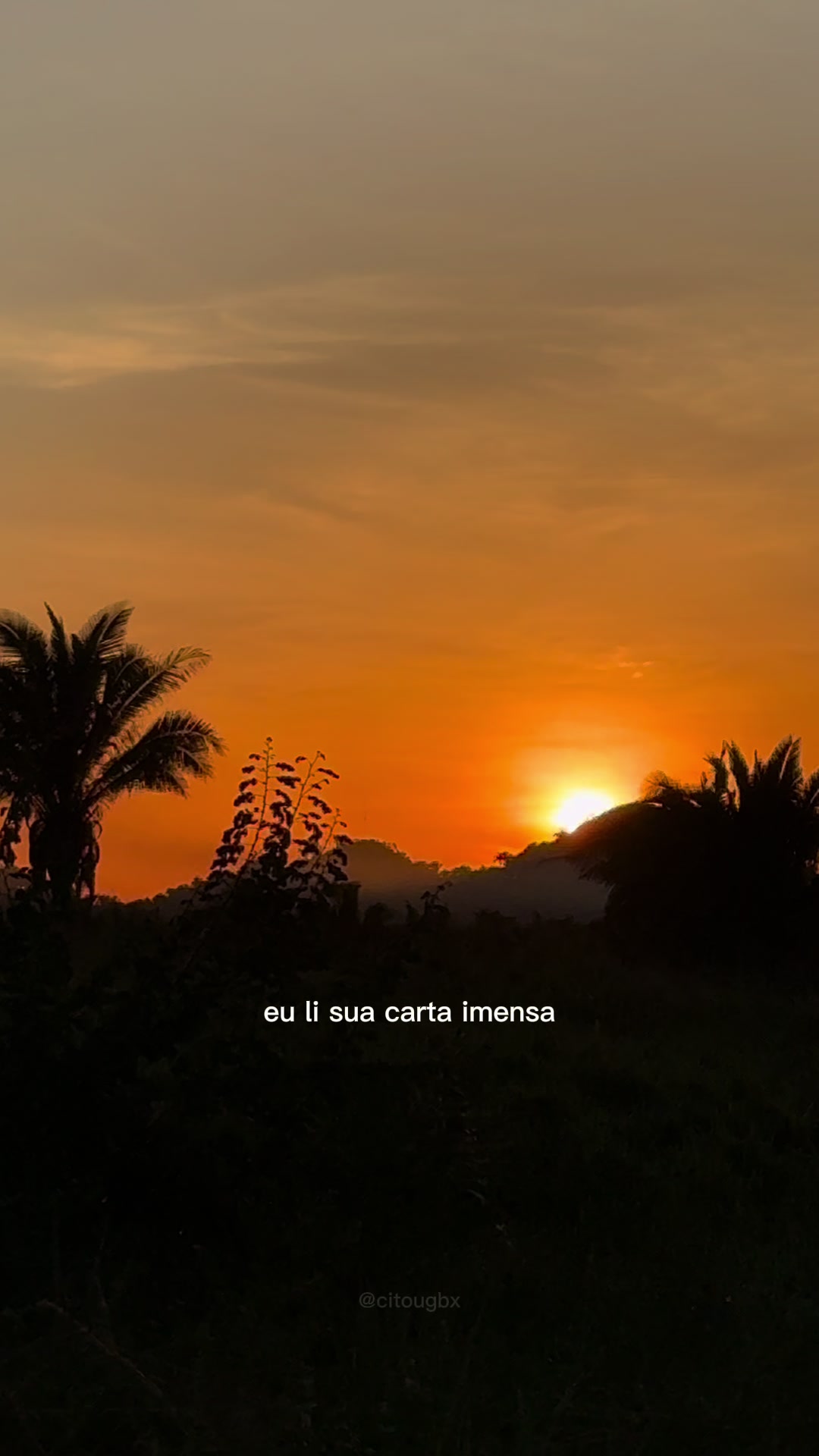 @Wos Cunha