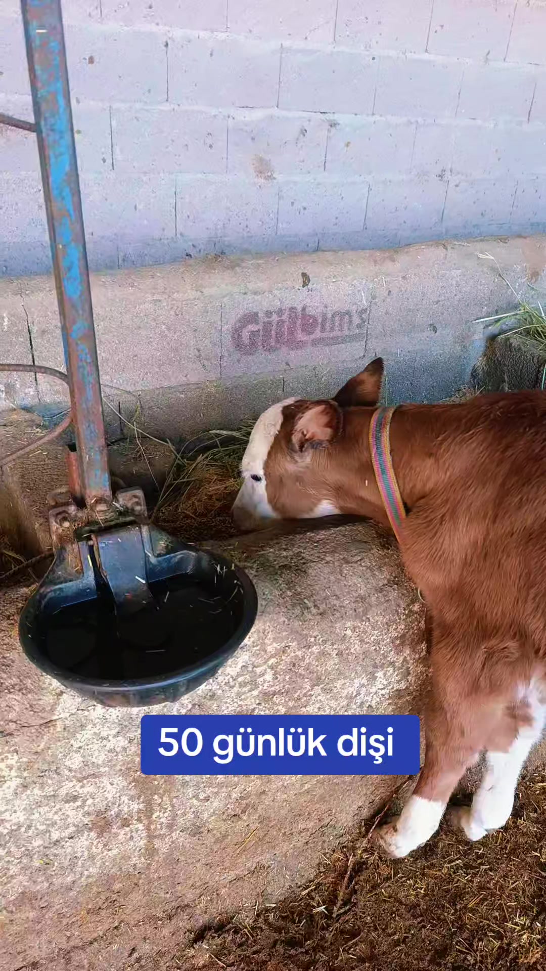 @Ömer 51