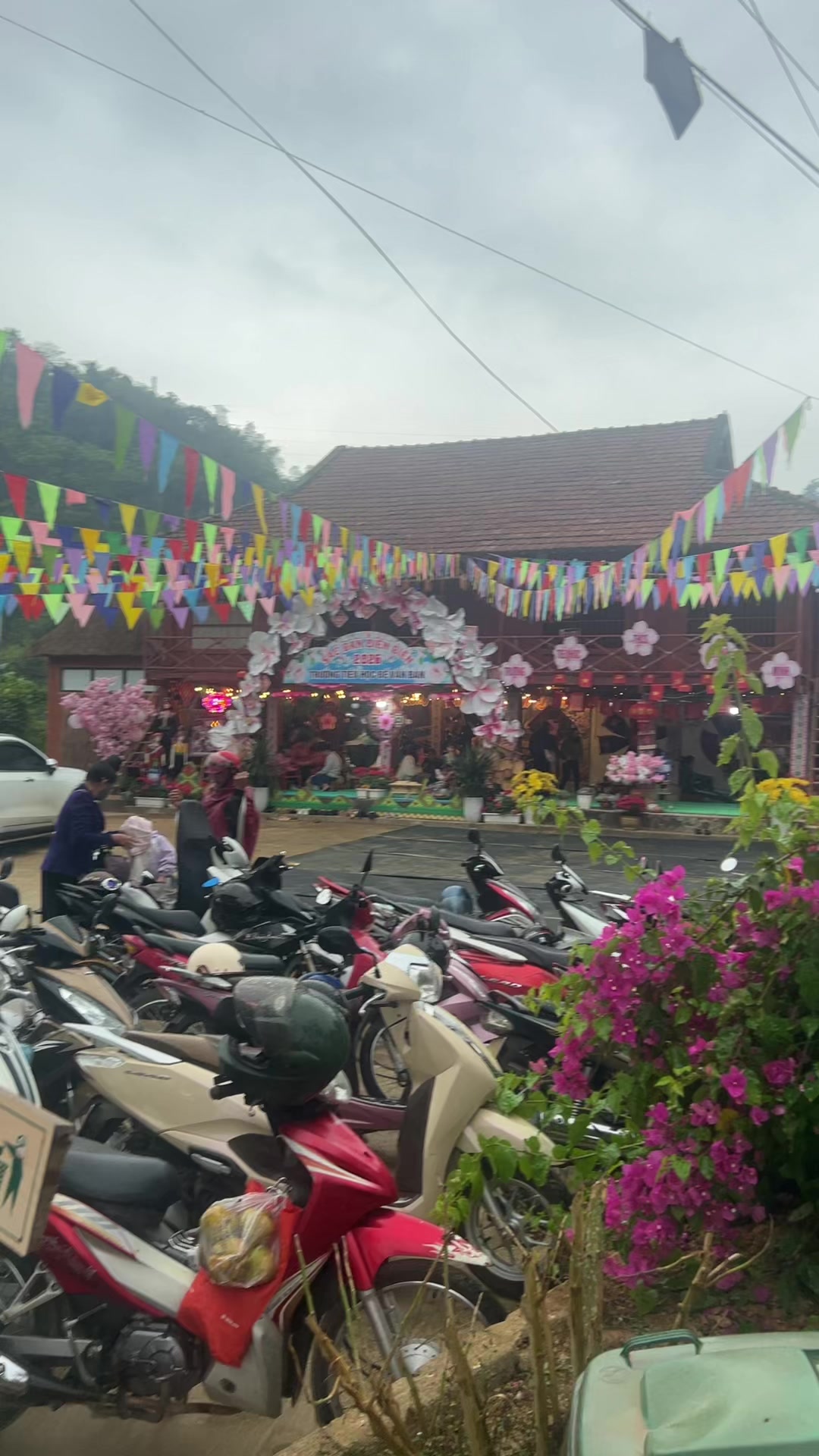 @Cỏ🍀lá