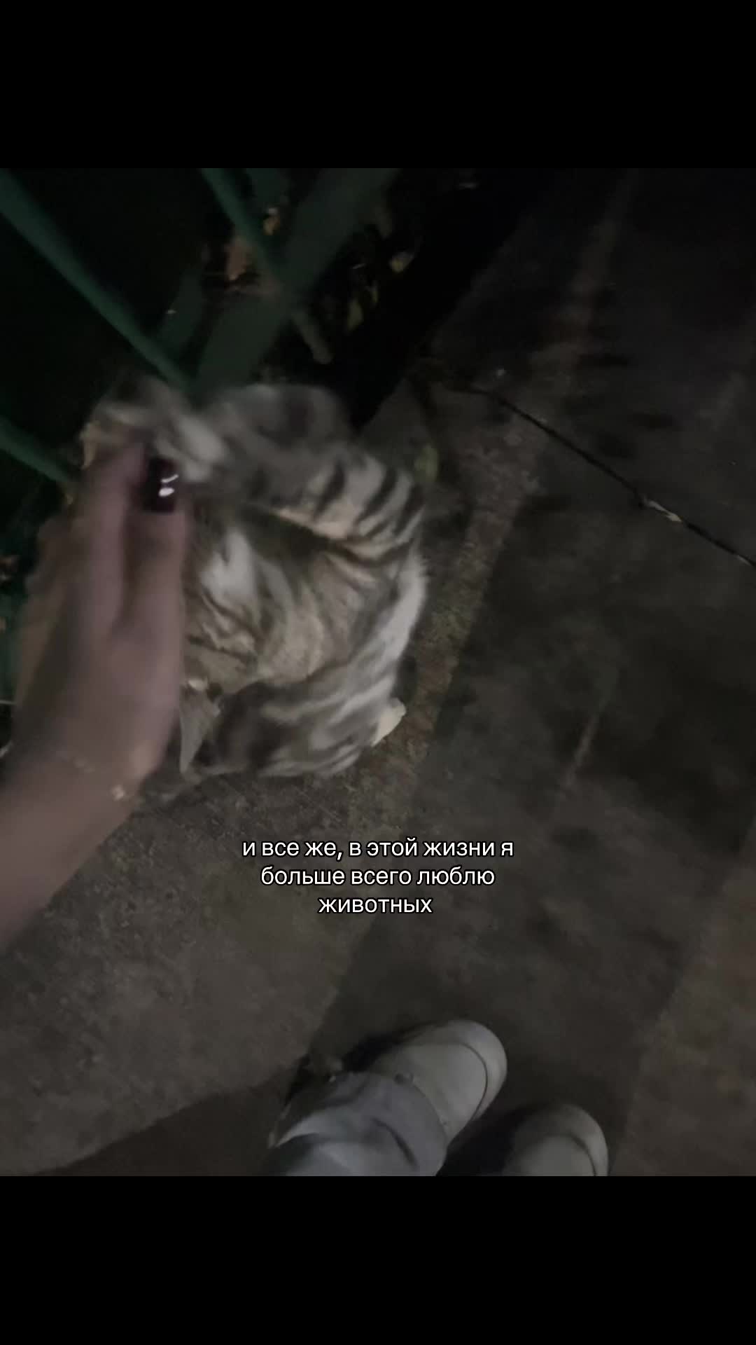@N