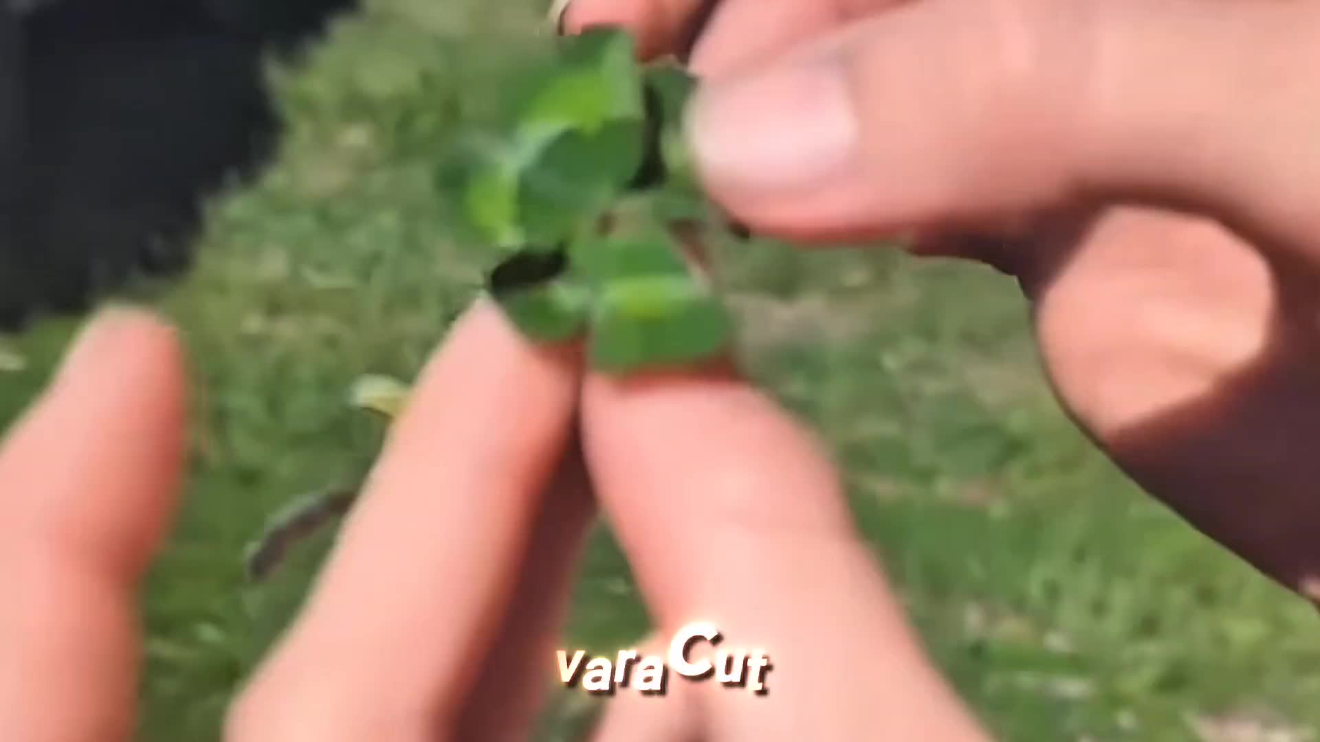 @ᵥₐᵣₐcᵤₜ