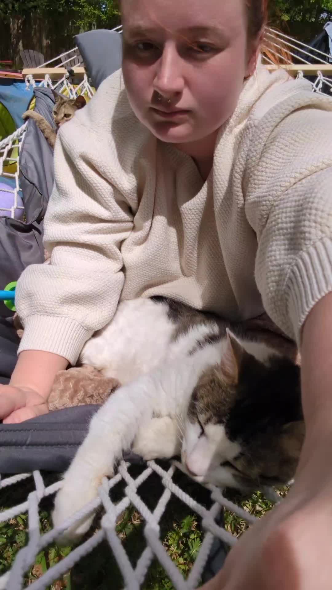 @Meowrcie