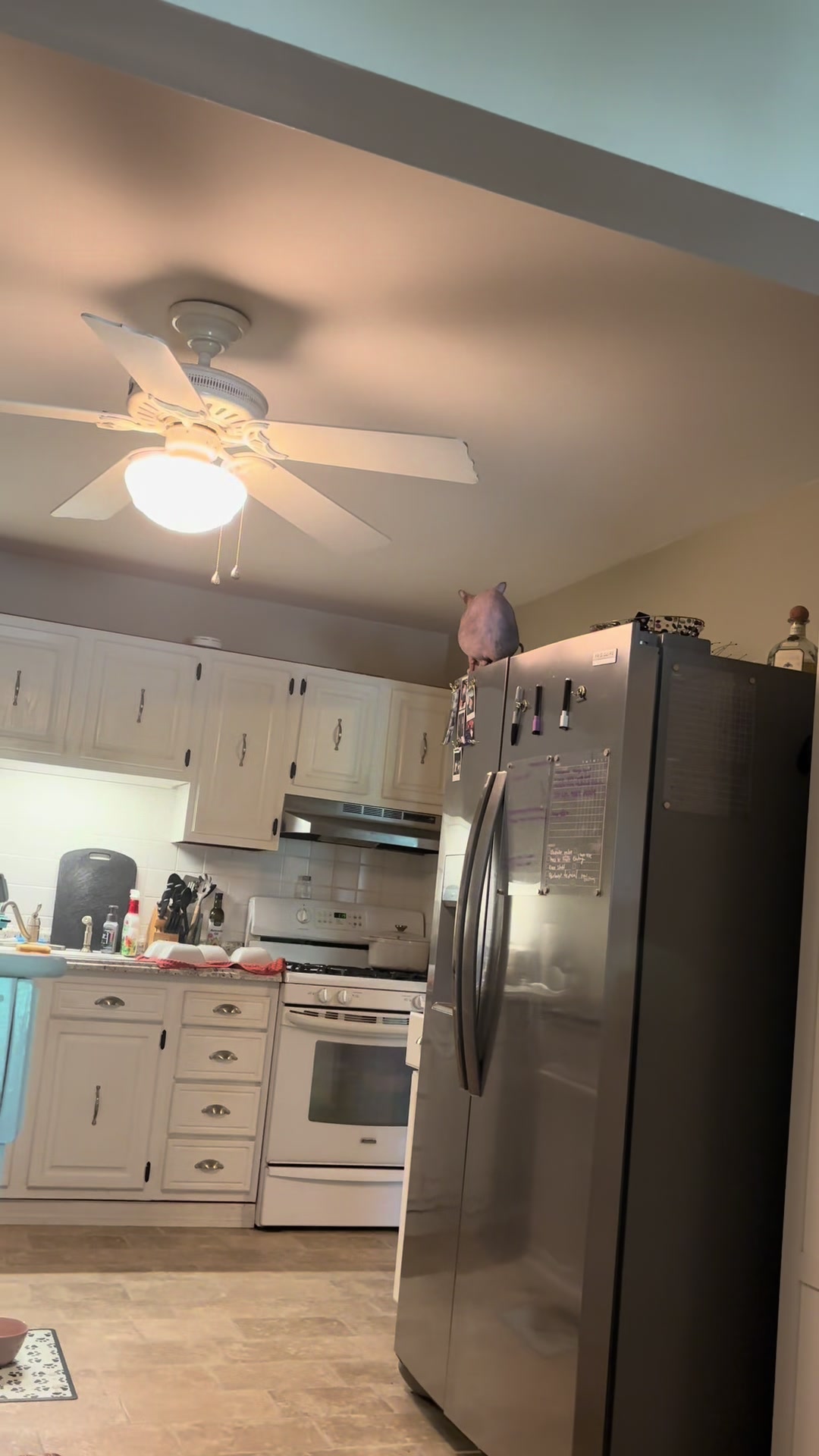 @Alisa