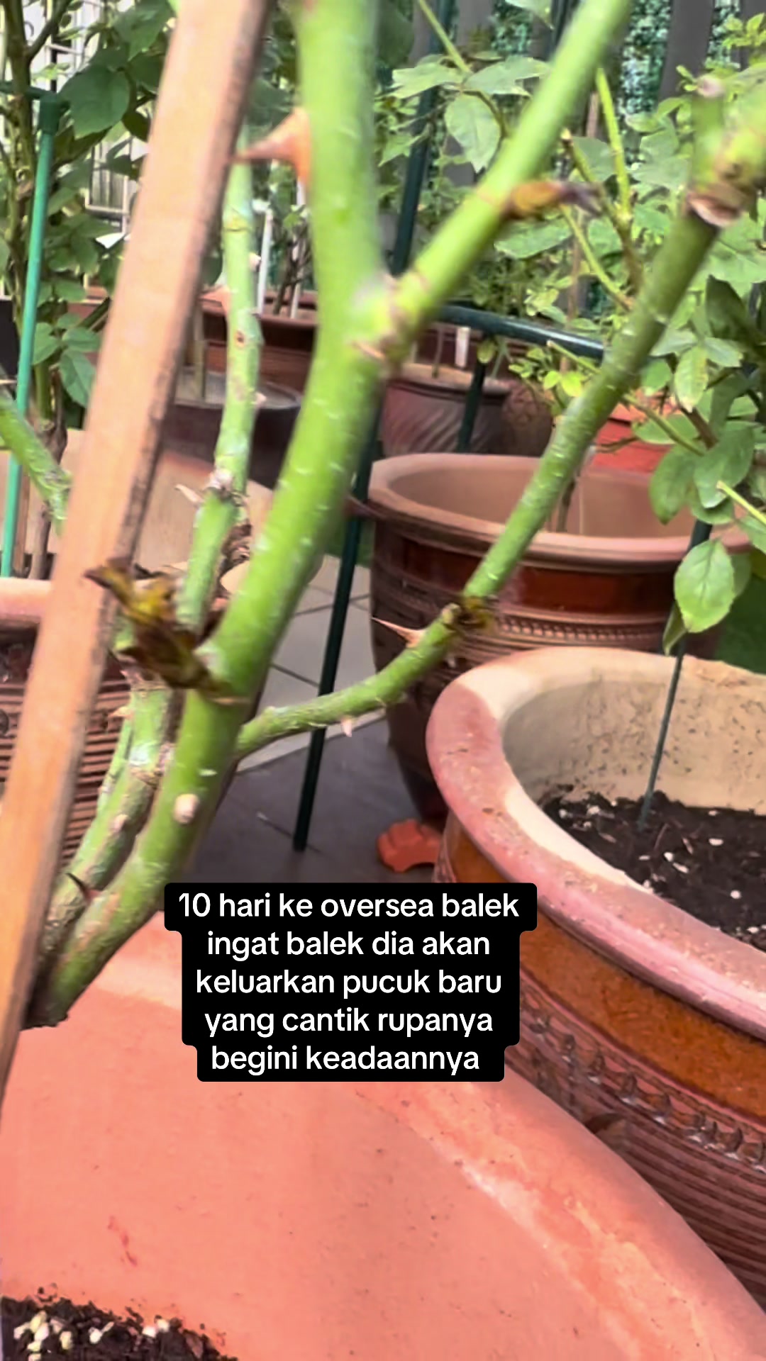 @AkakZZ