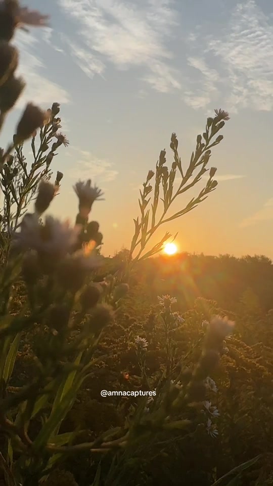 @Nature lover 🇨🇦