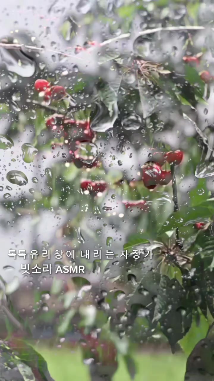 @Rain 감성 ASMR