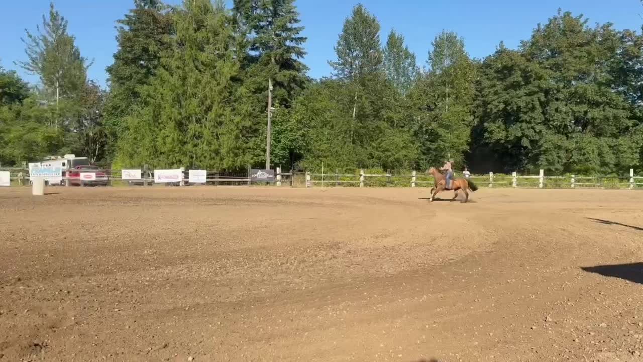 @TF Performance Horses