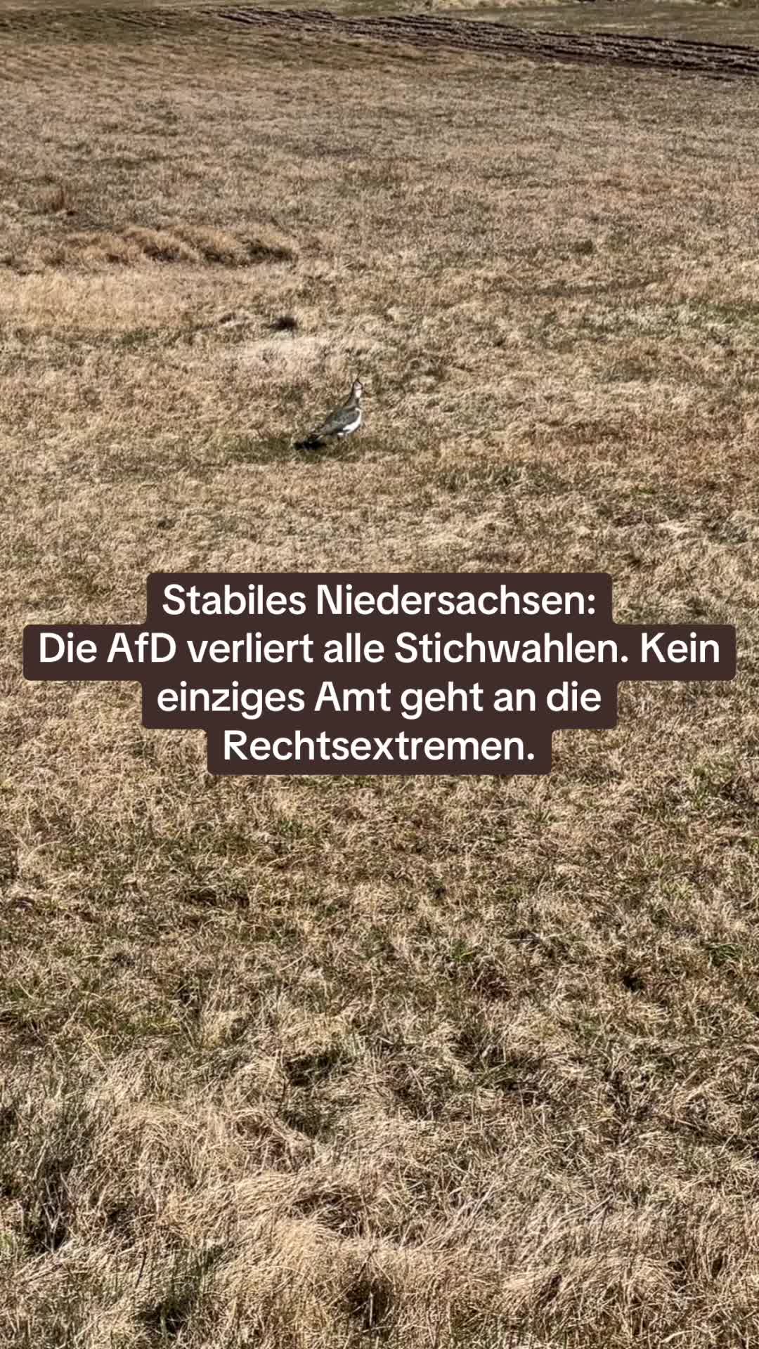 @Contra.AfD