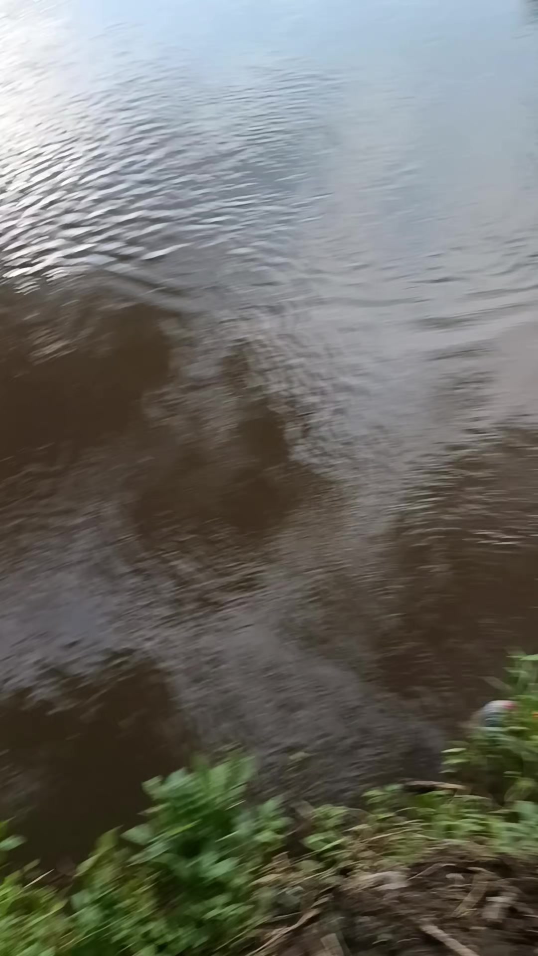 @orupnaselfishing