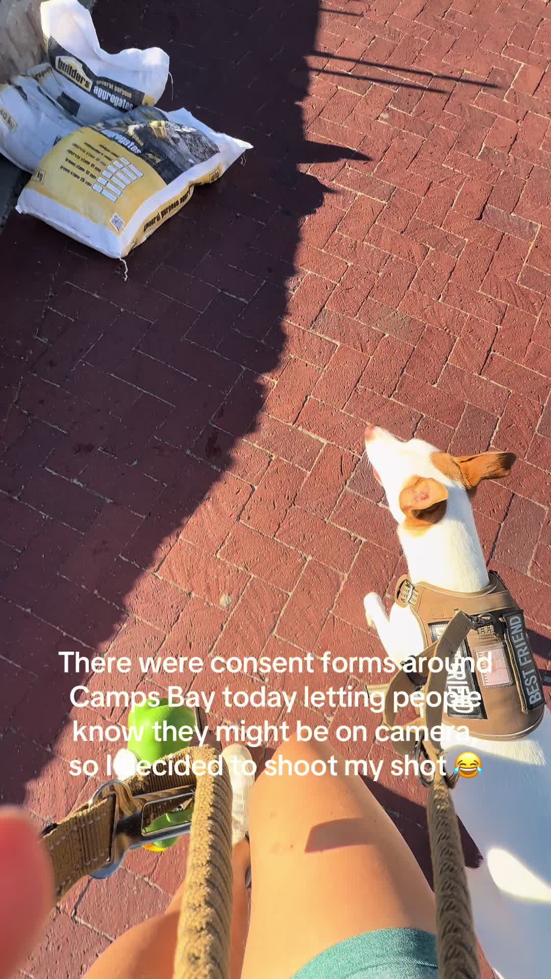 @HappyisAshley 🌞🦋🐶