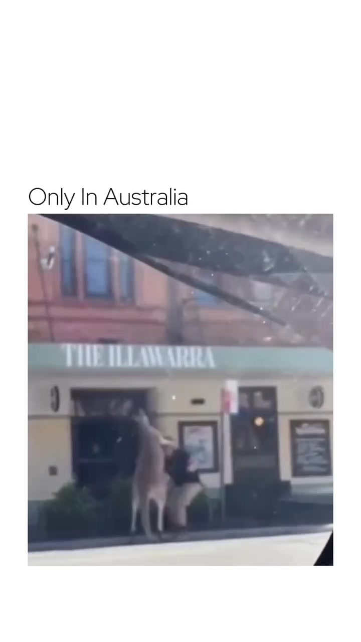 @dailyweirdness1
