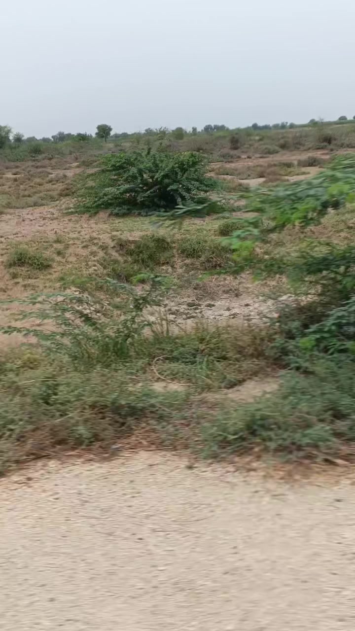 @Mukesh kumar kolhi