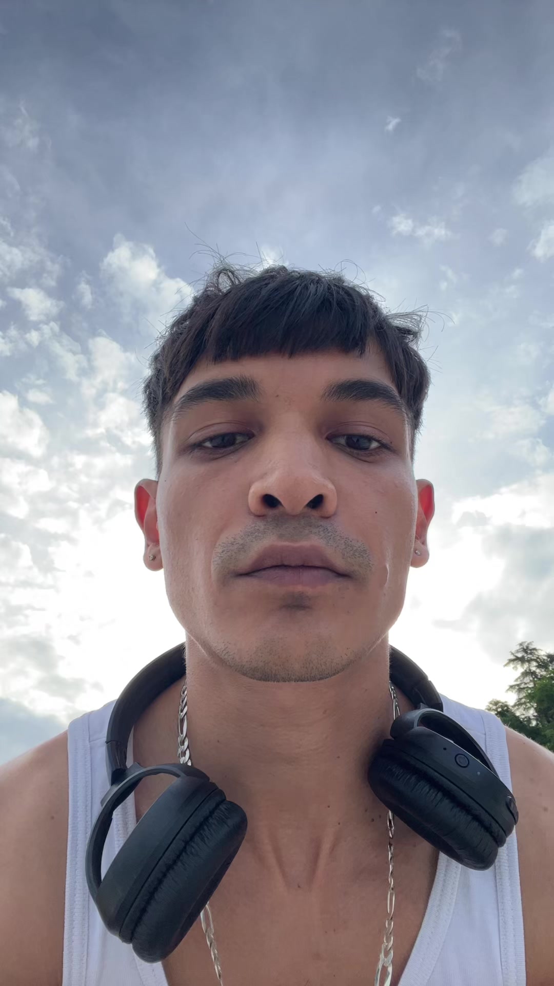 @DZIPSII