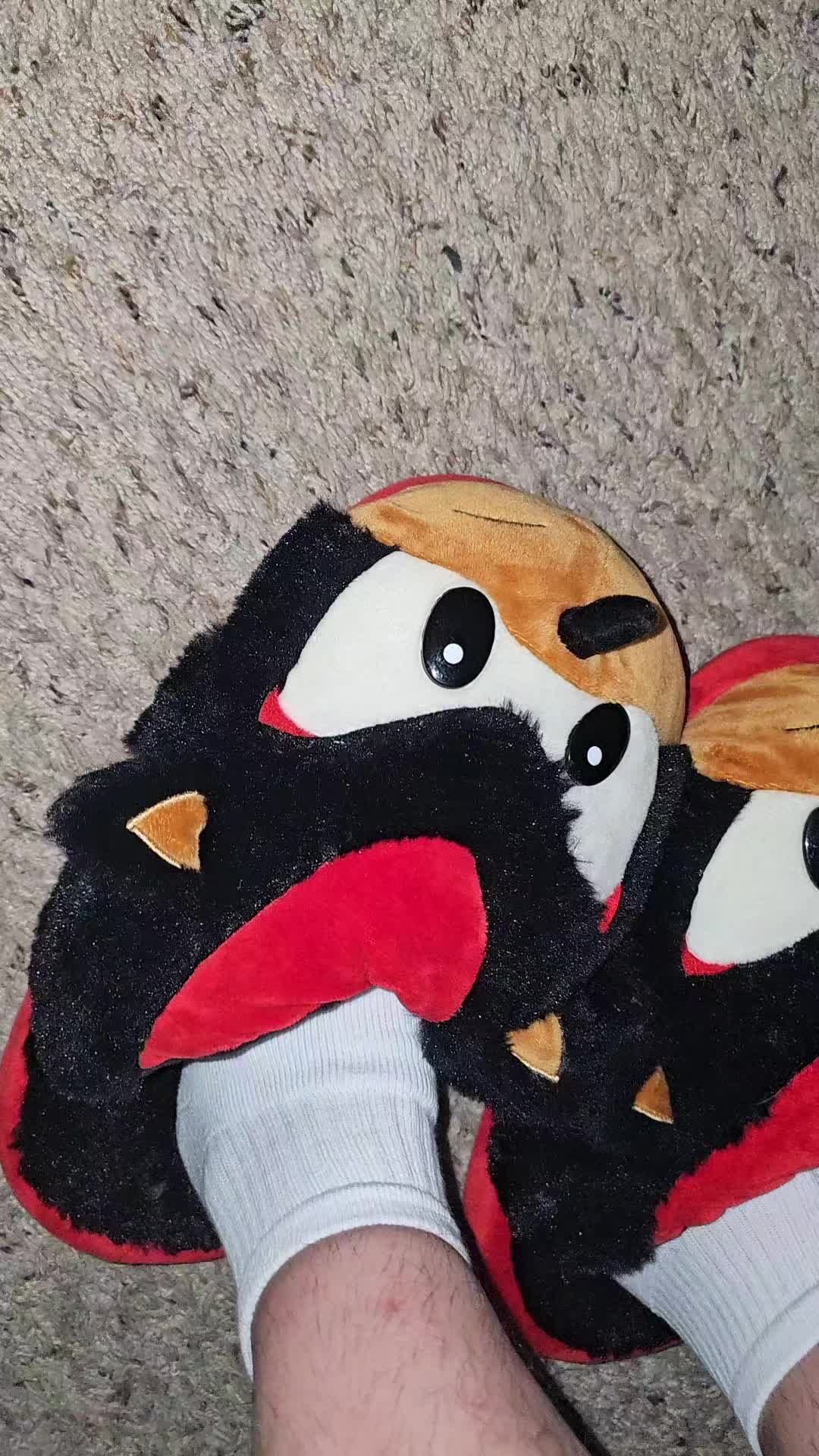 @shunappucos