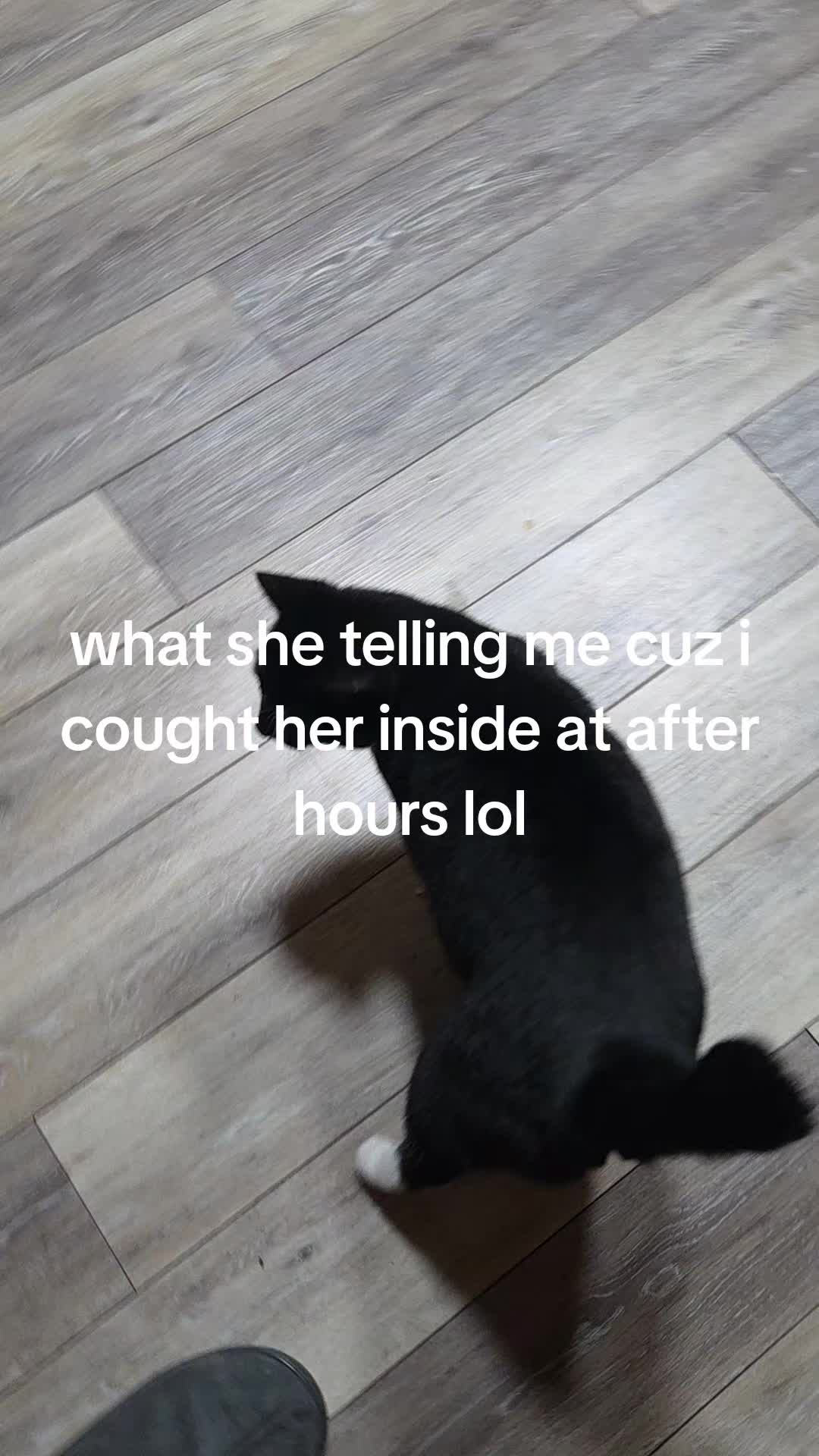 @GersonR