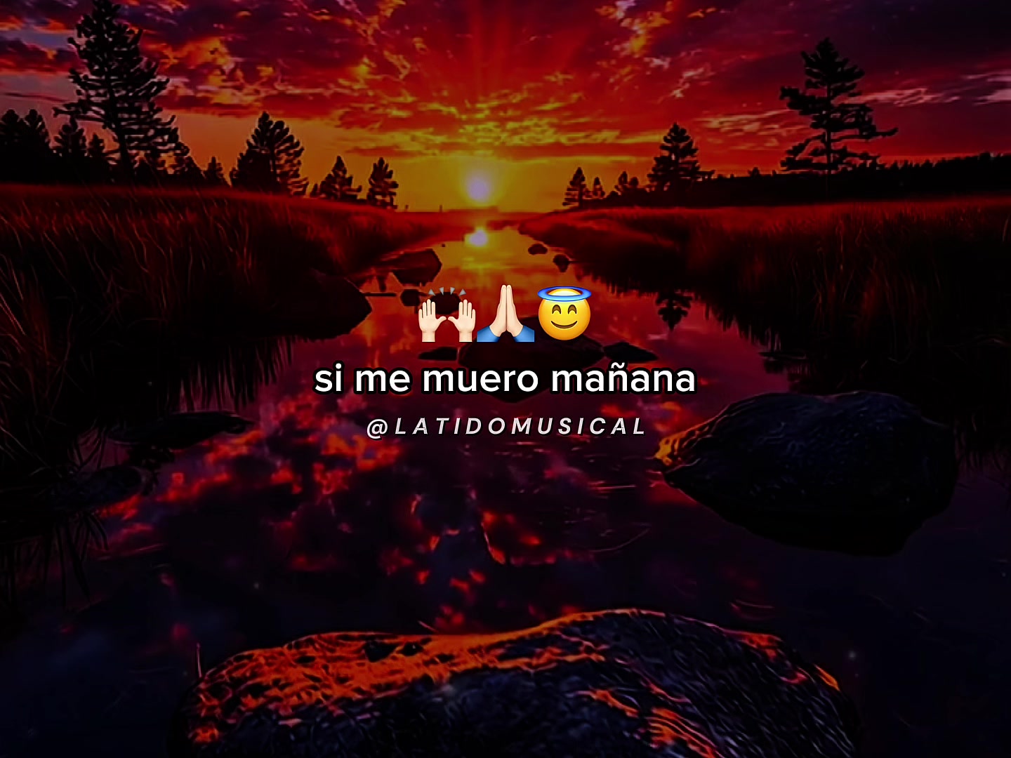 @@latidomusical