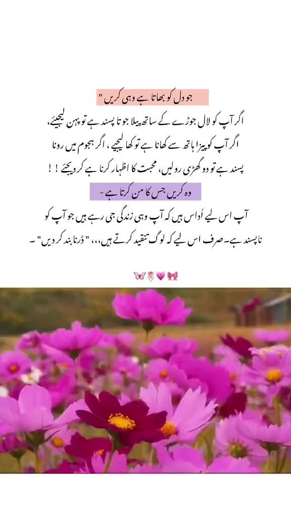 @Mrs Shahbaz 🙈❤️