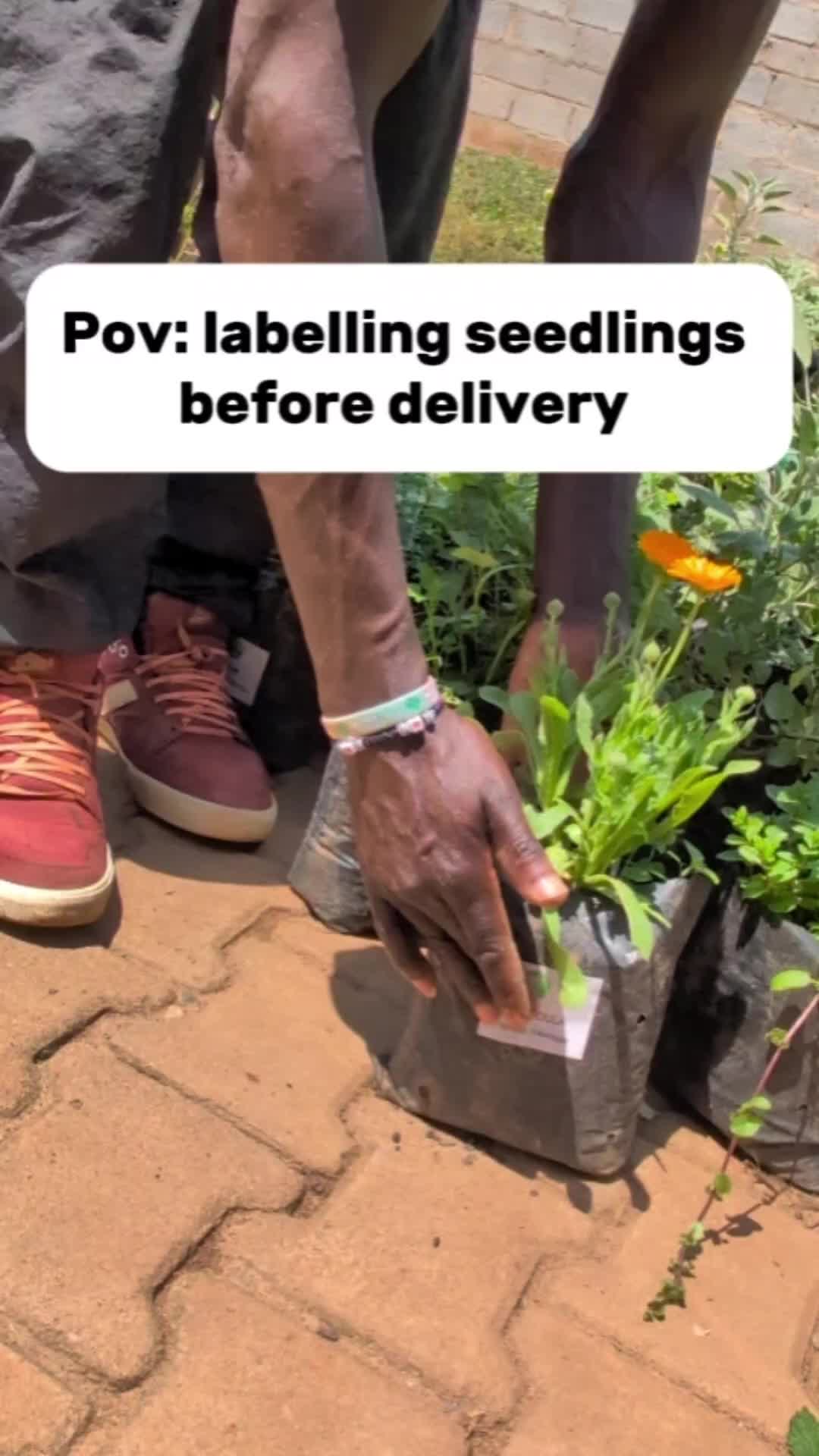 @nancyherbsandwellness