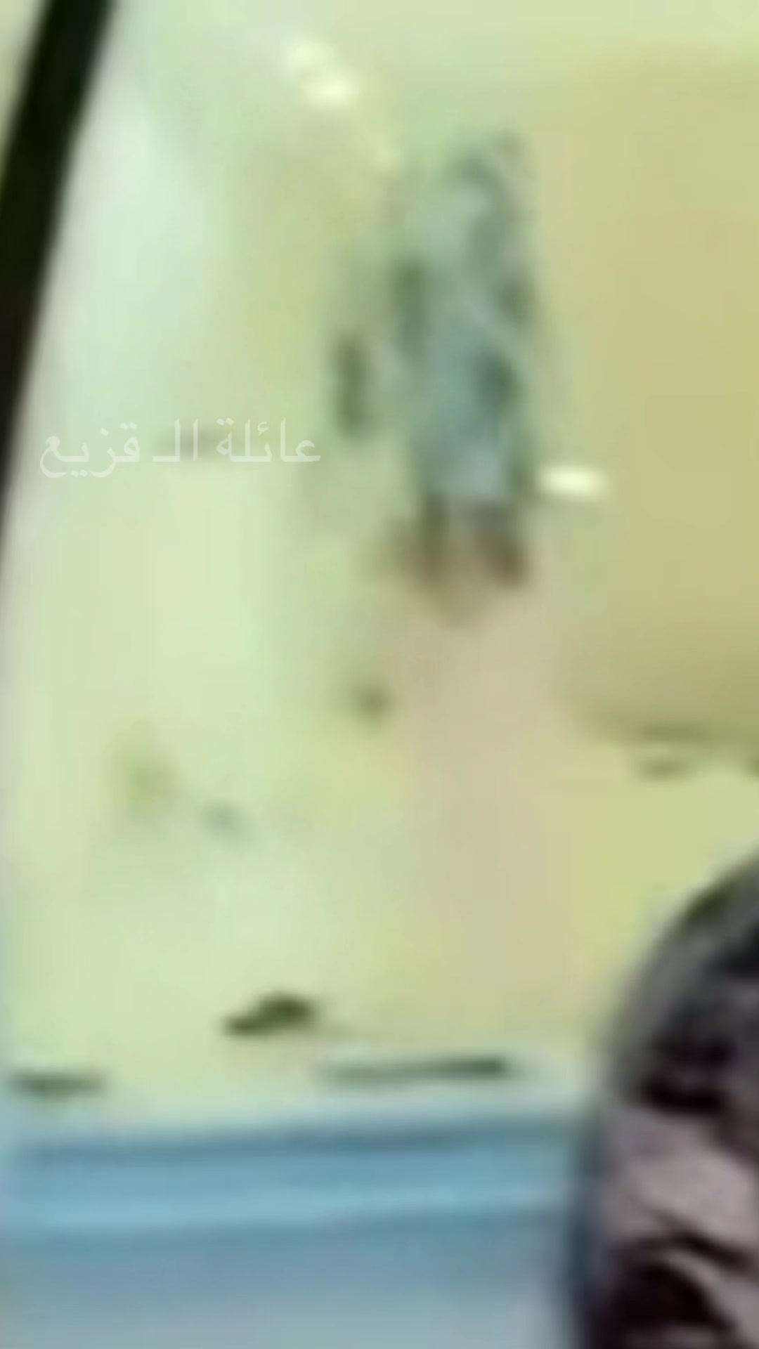 @عـائـلة الـ قـــزيــع