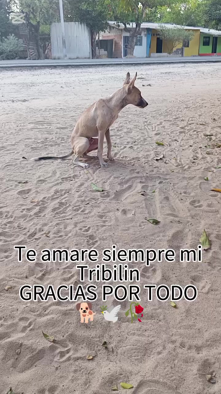 @La Jesuuu