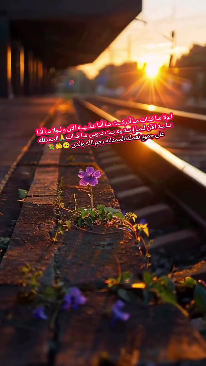@⚔️👻♥️👑꧁حٍيَاة꧂👑♥️👻⚔️