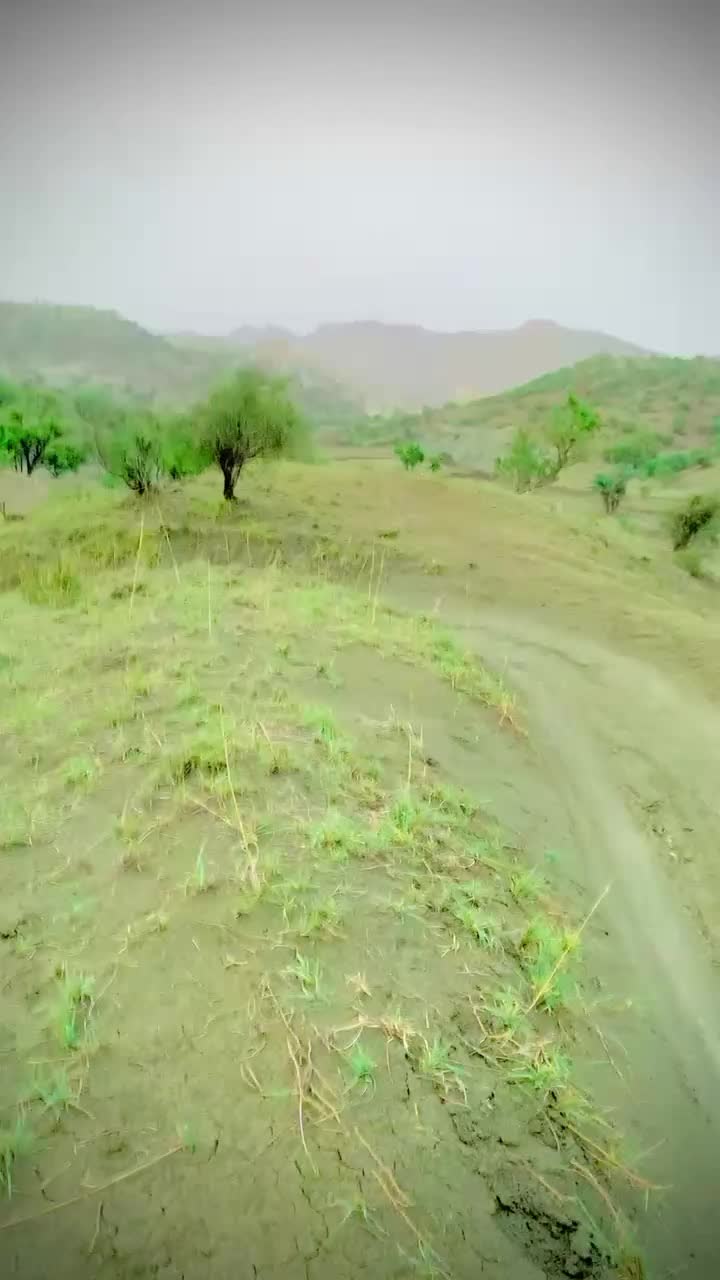 @Buzdar 🥷