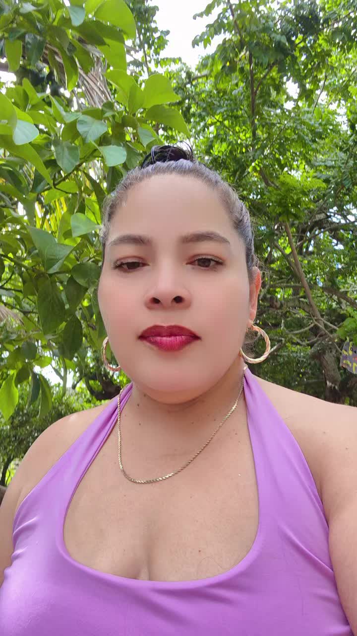 @el ave fénix