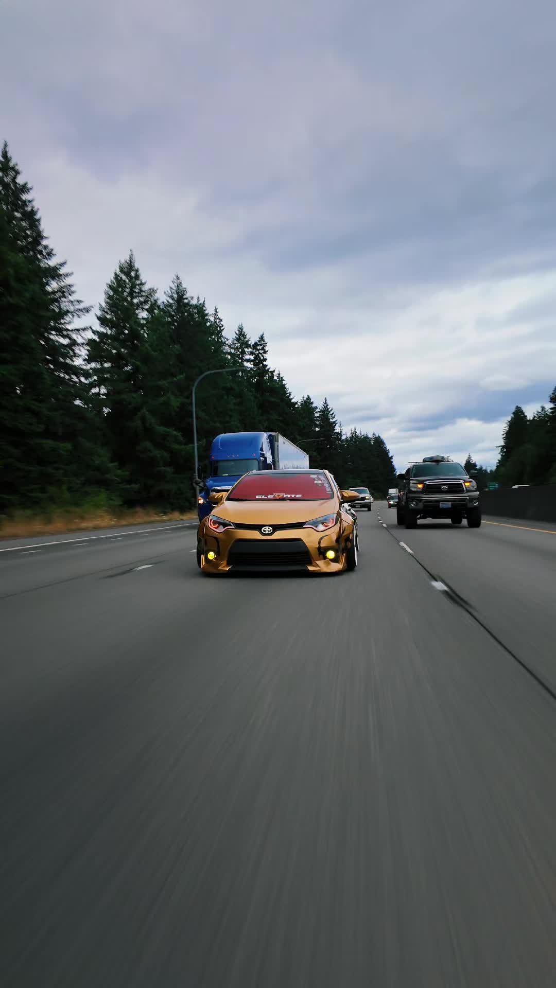 @Dat_bagged_rolla