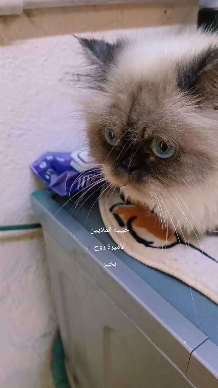 @رنا الروح
