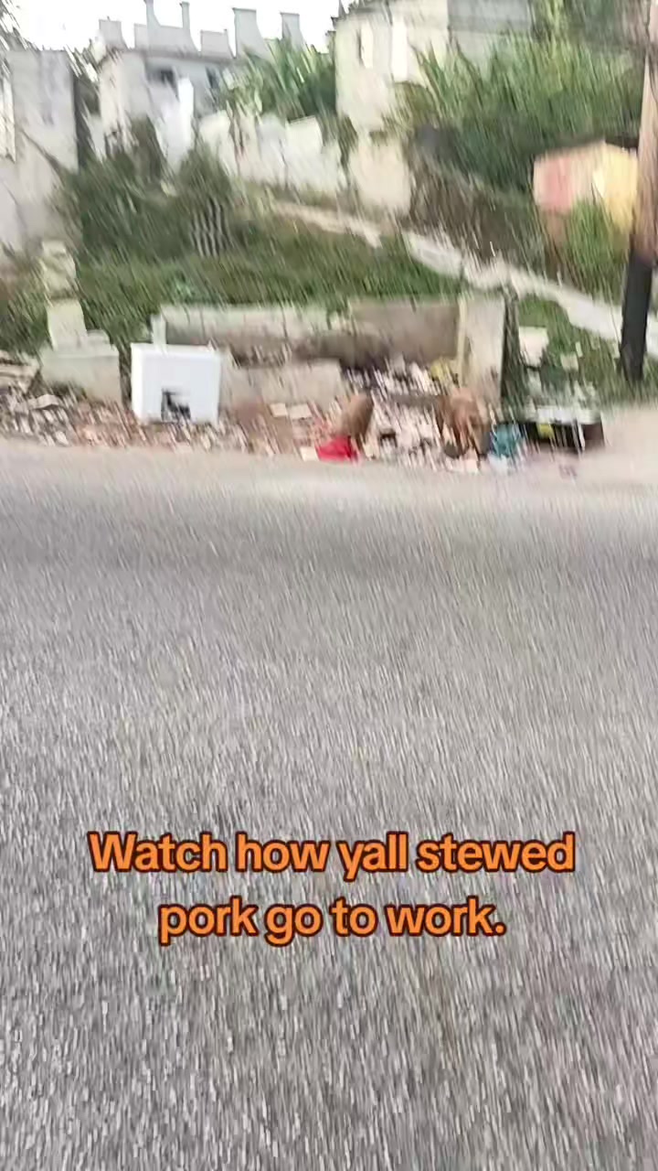 @FARMERTHOMAS376