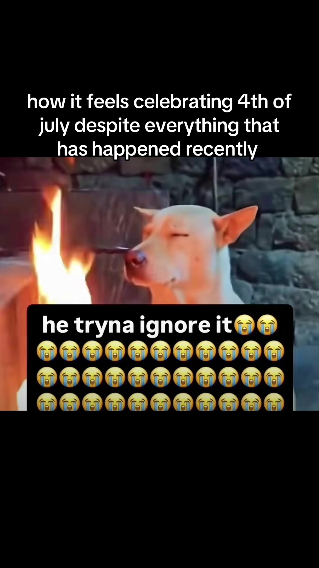 @choppedbay