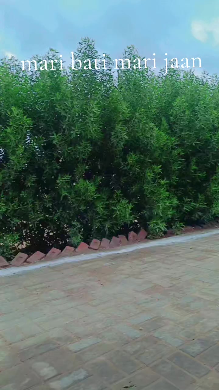 @@Kambohzada✌🇵🇰