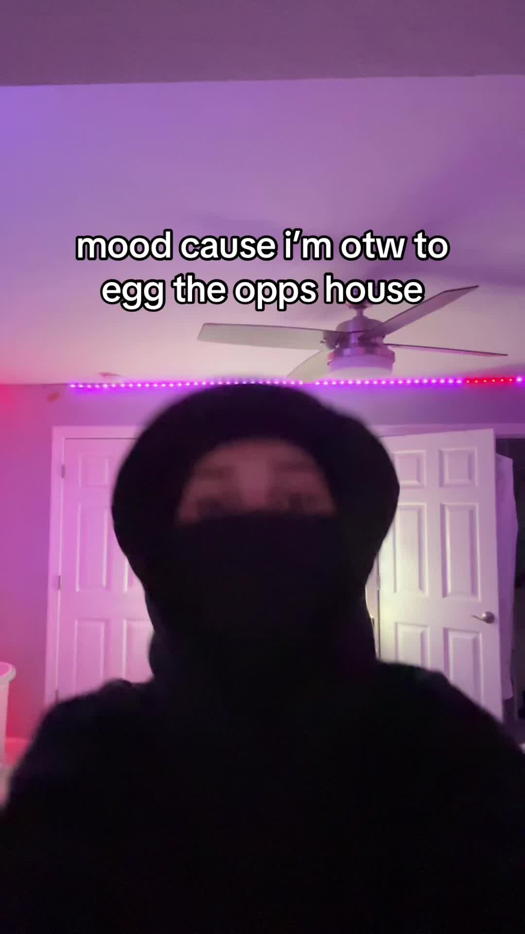@rainbowprincesunicorn