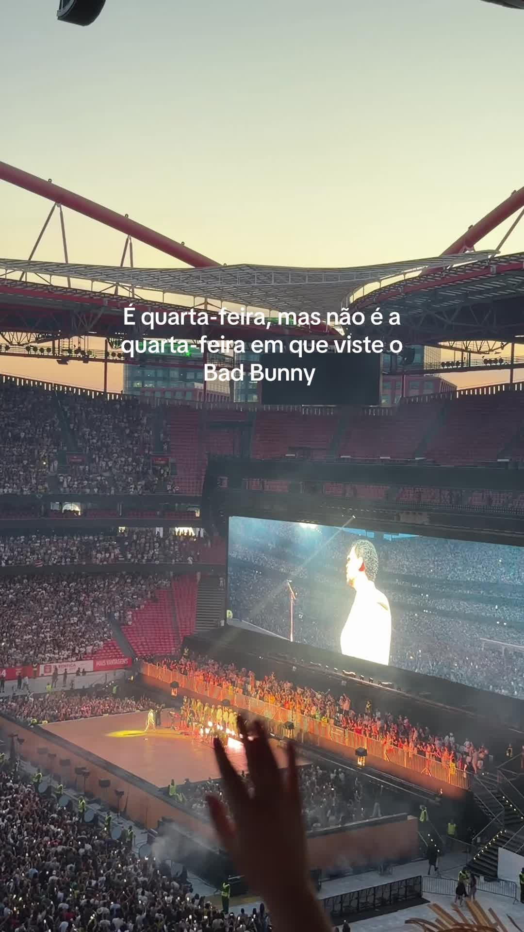 @SARA FERREIRA