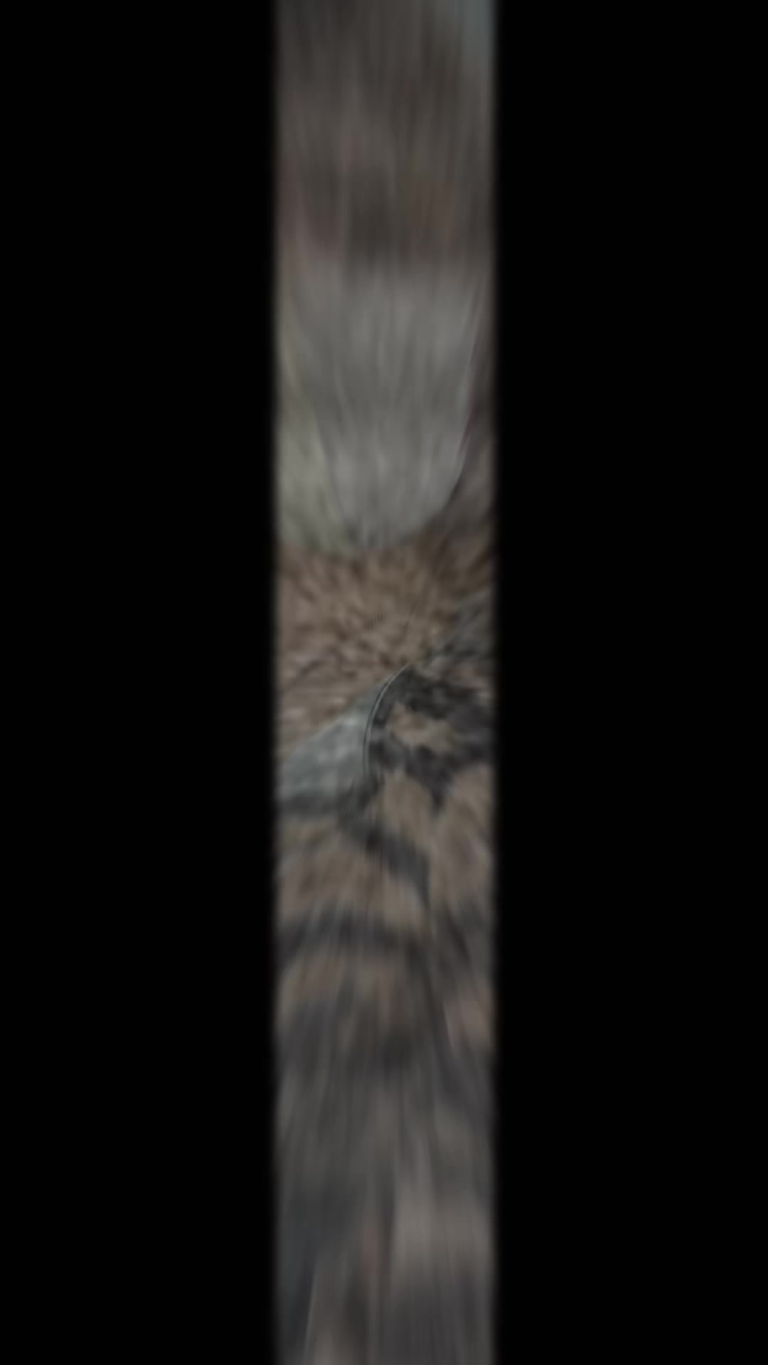 @è¯å²ðžããè