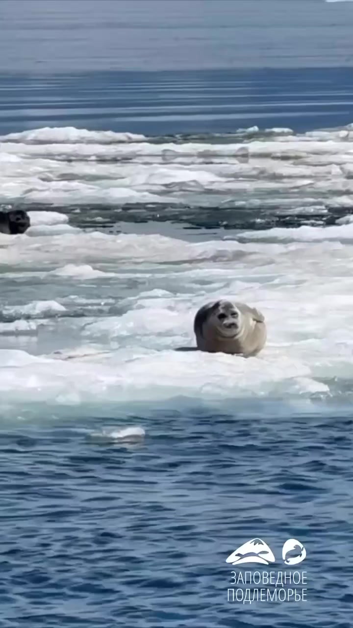 @Ольга03rus