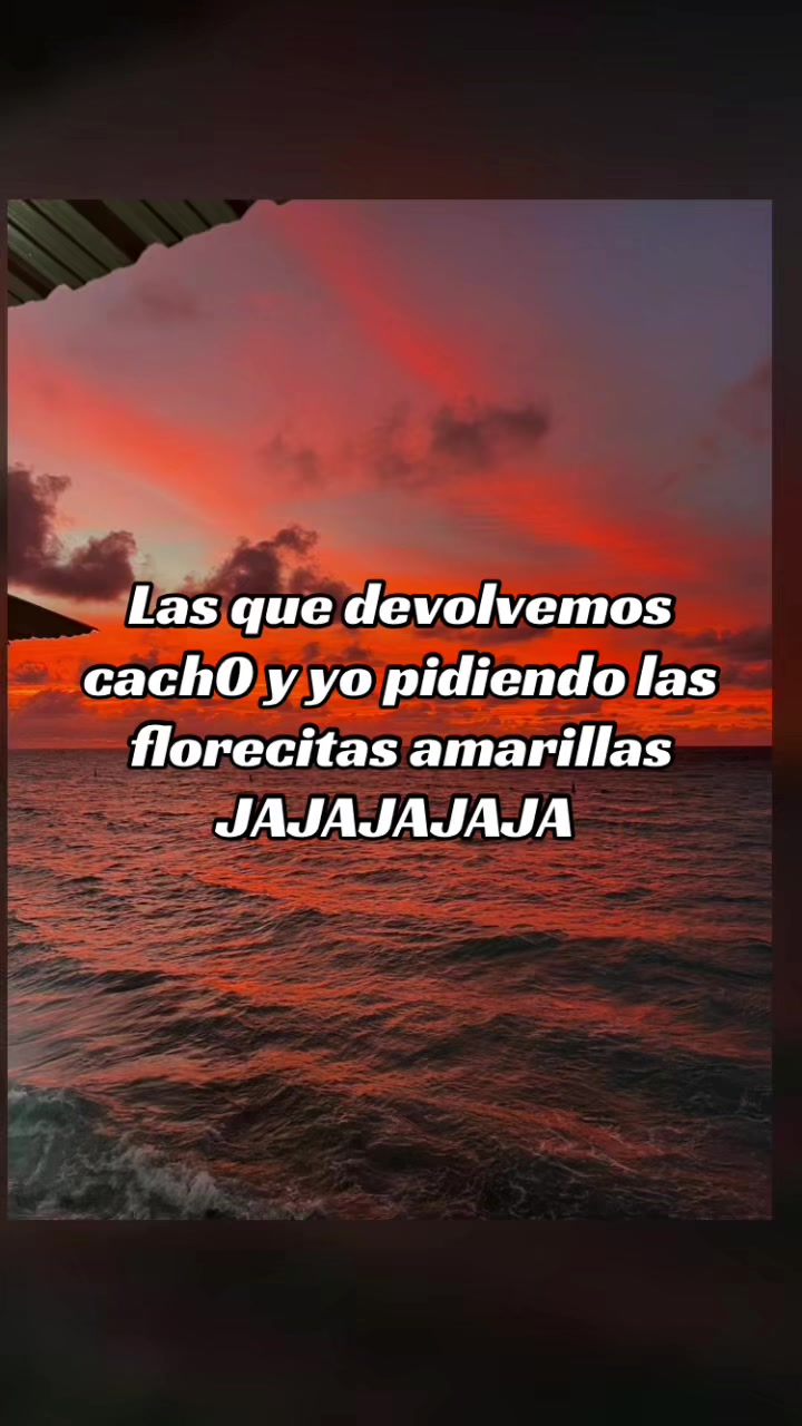 @Yorladys💋