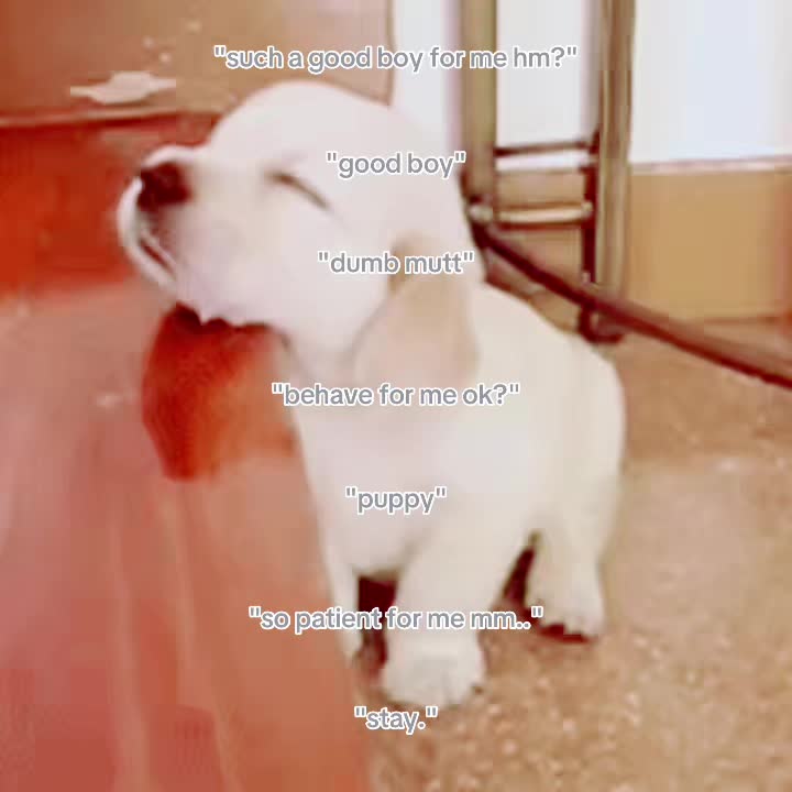 @ayden ★