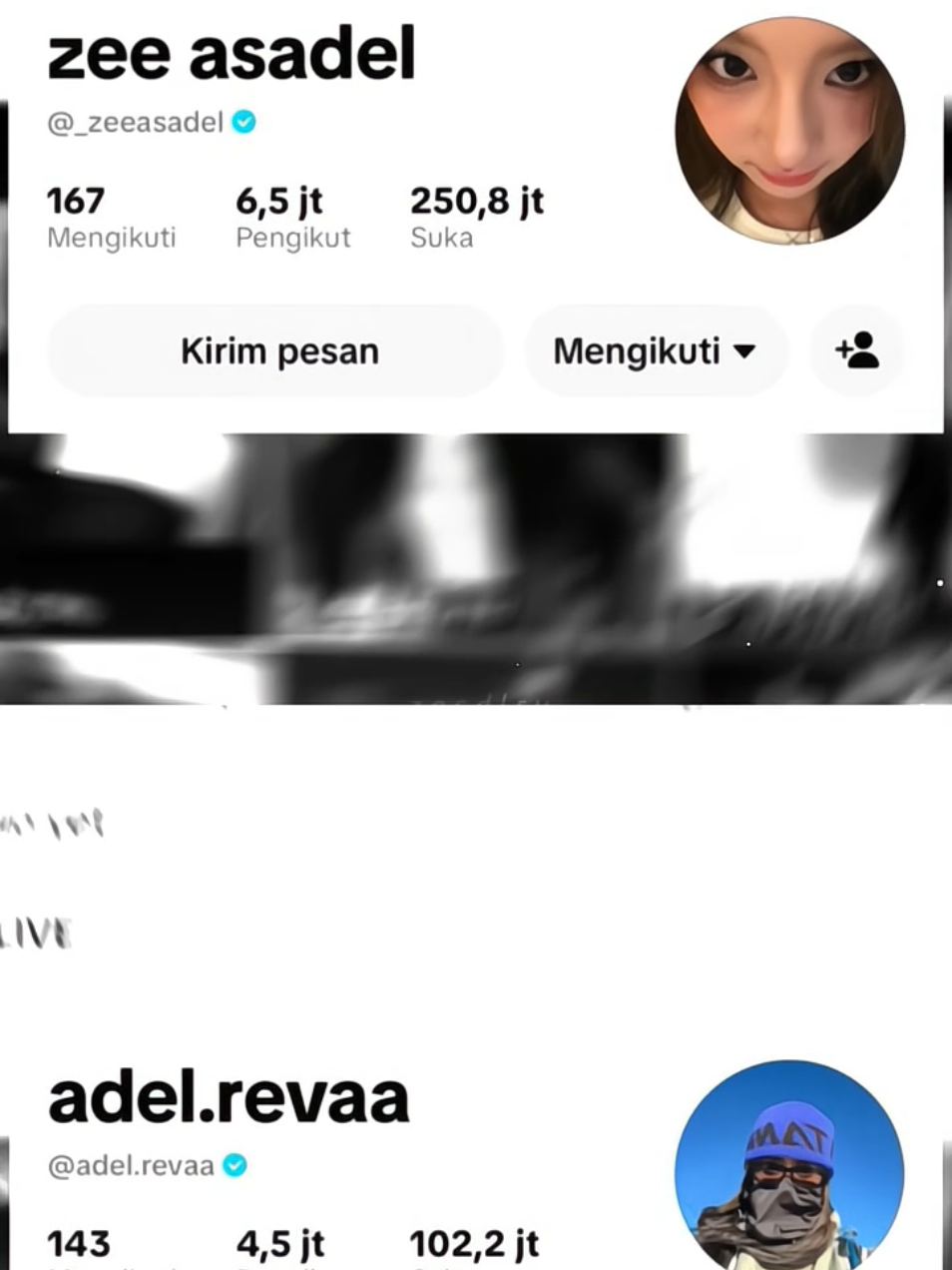 @zasdlrv