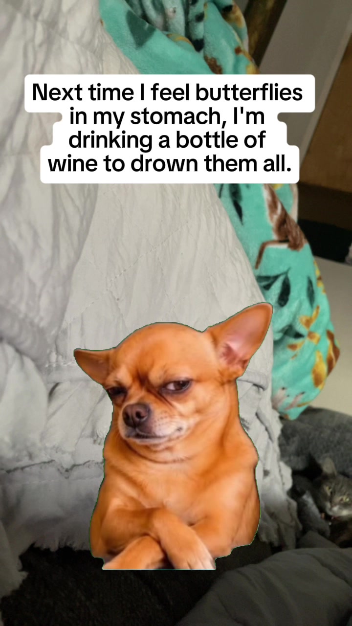 @meme