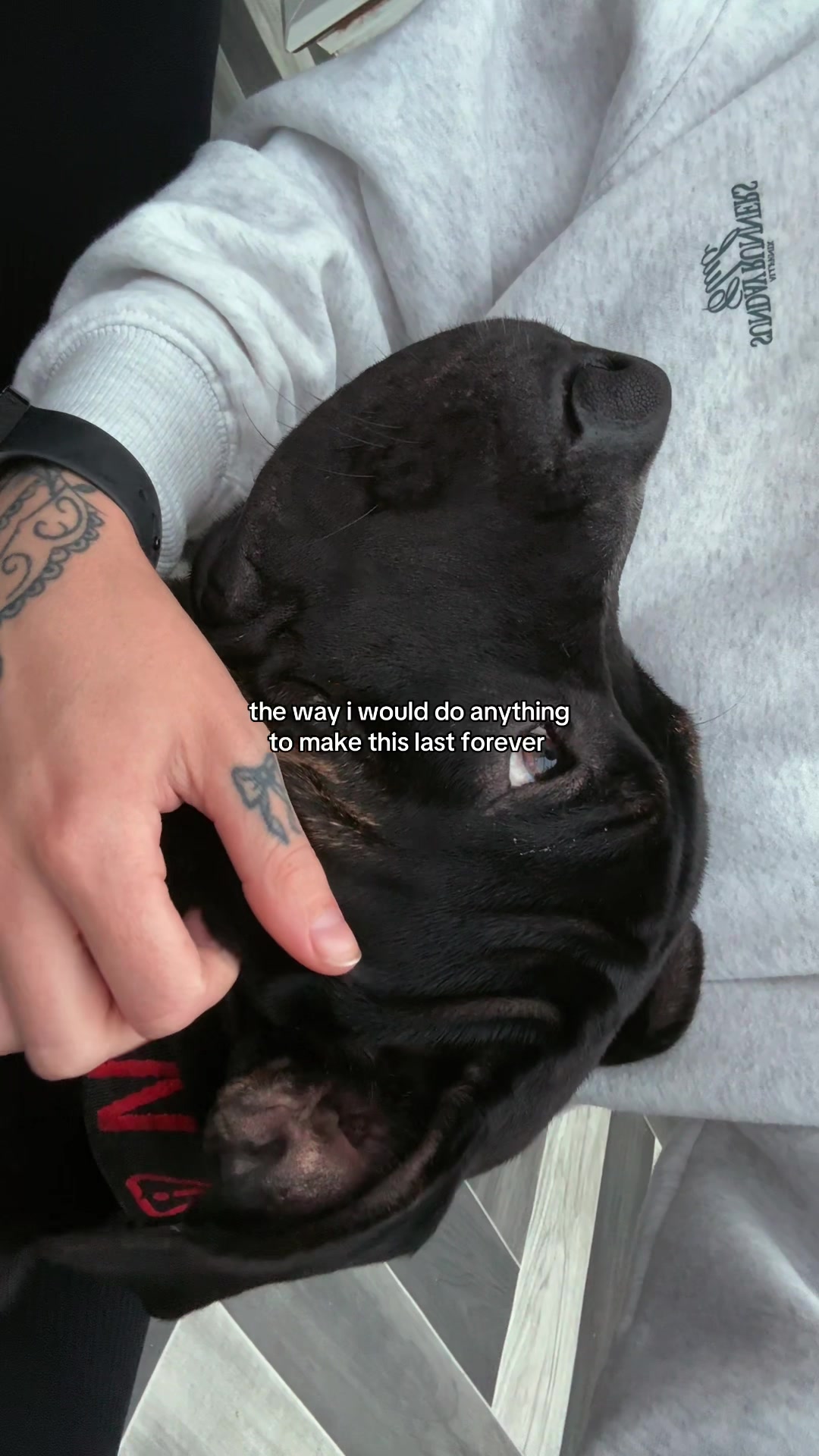 @Cjx_bbyy
