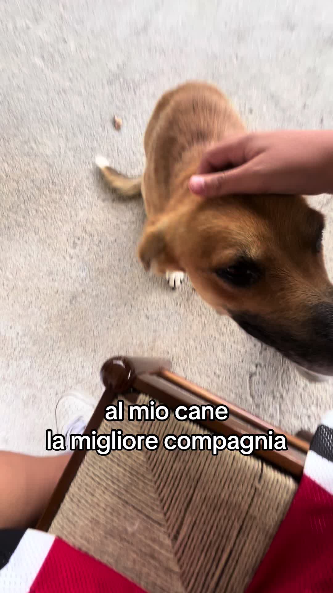 @🧸🔥lospammdellavio🔥🧸