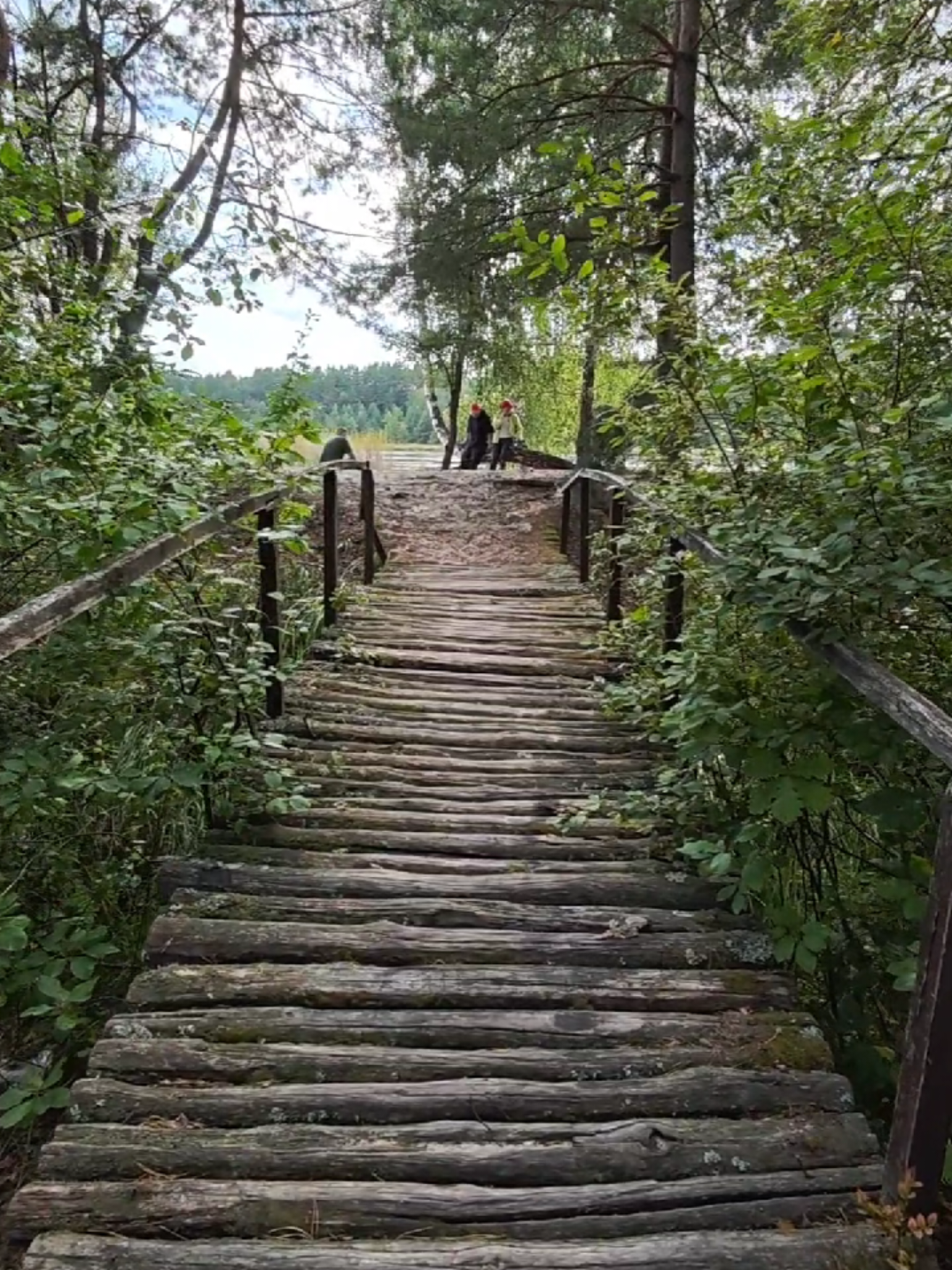 @Наталя🏍️🌳🌊
