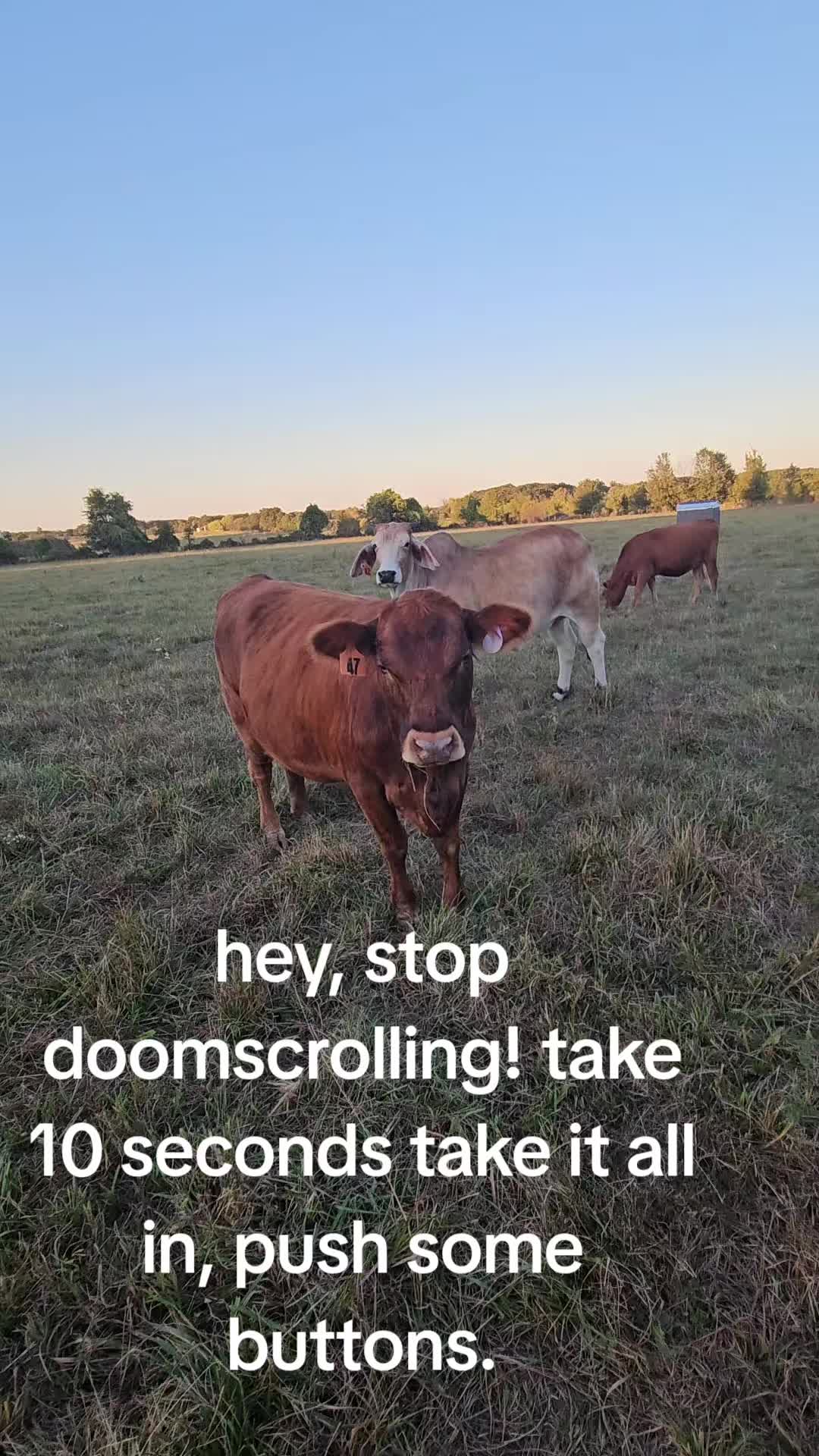 @Davy ❌️Eagon