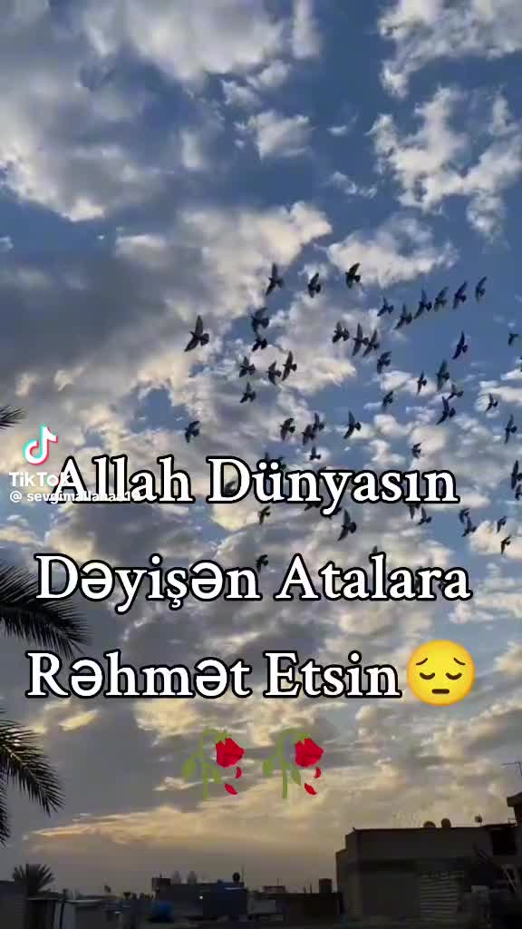@qedir_94
