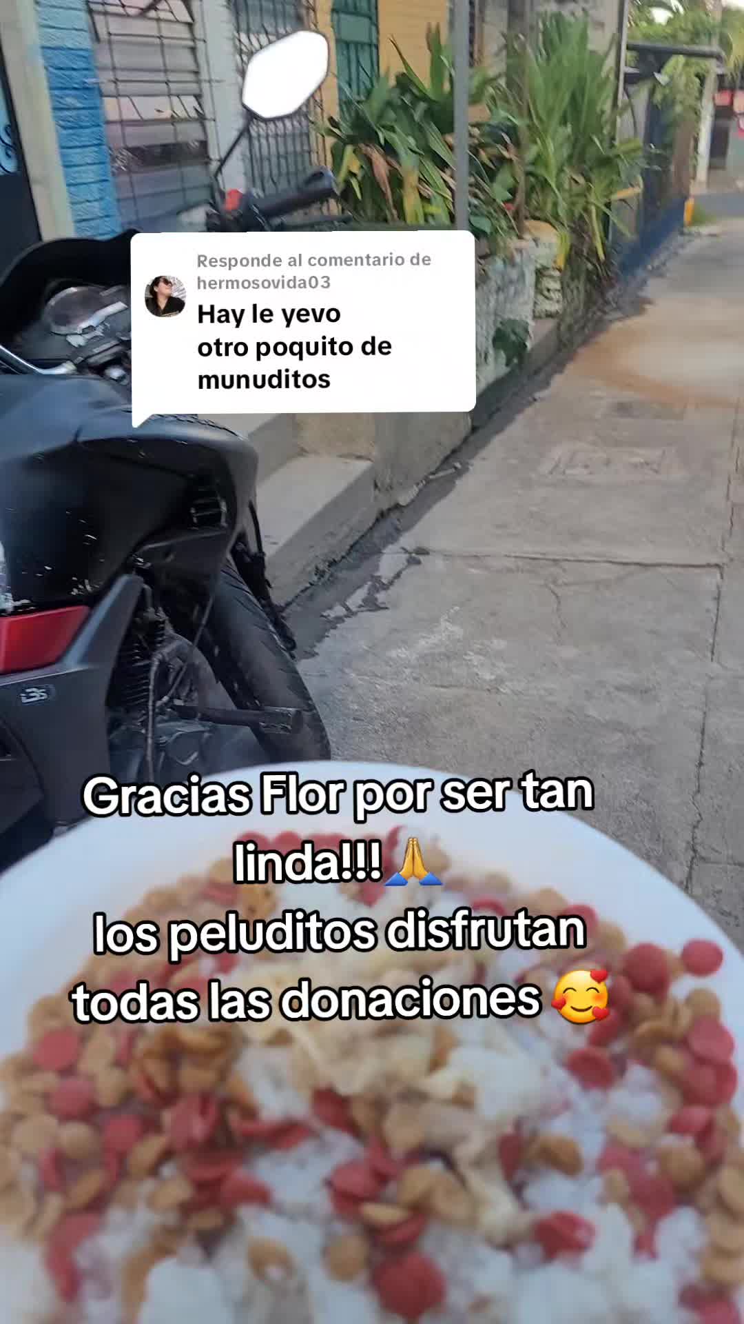@𝕃𝕚𝕤𝕤 ℝ𝕖yes🇸🇻