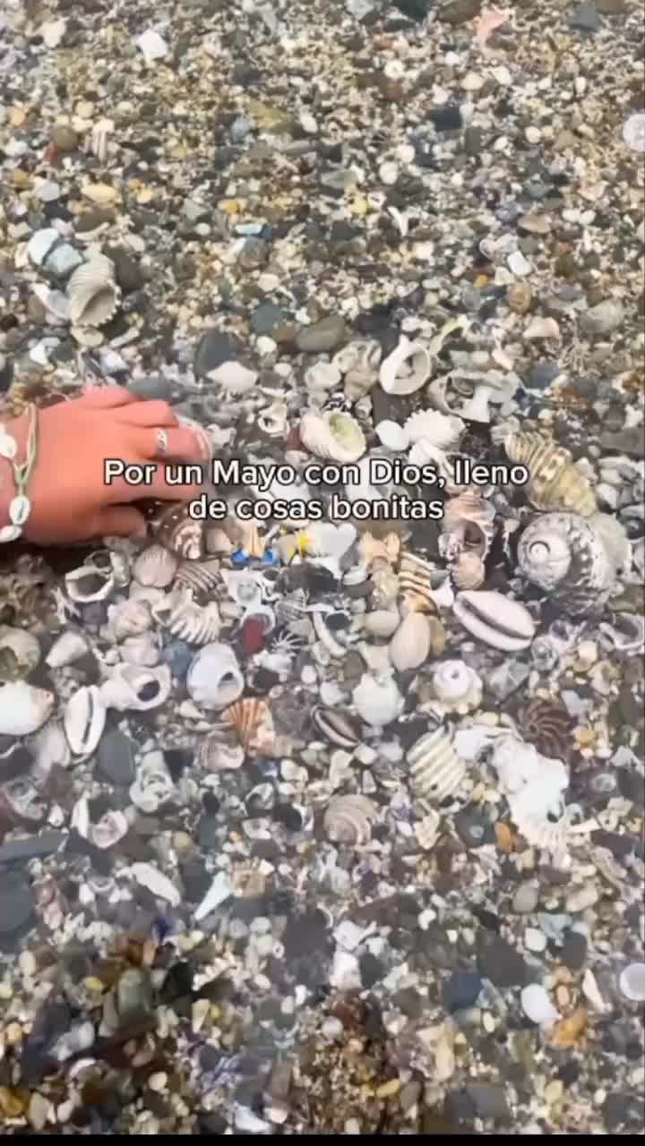 @Videos de todo tipo