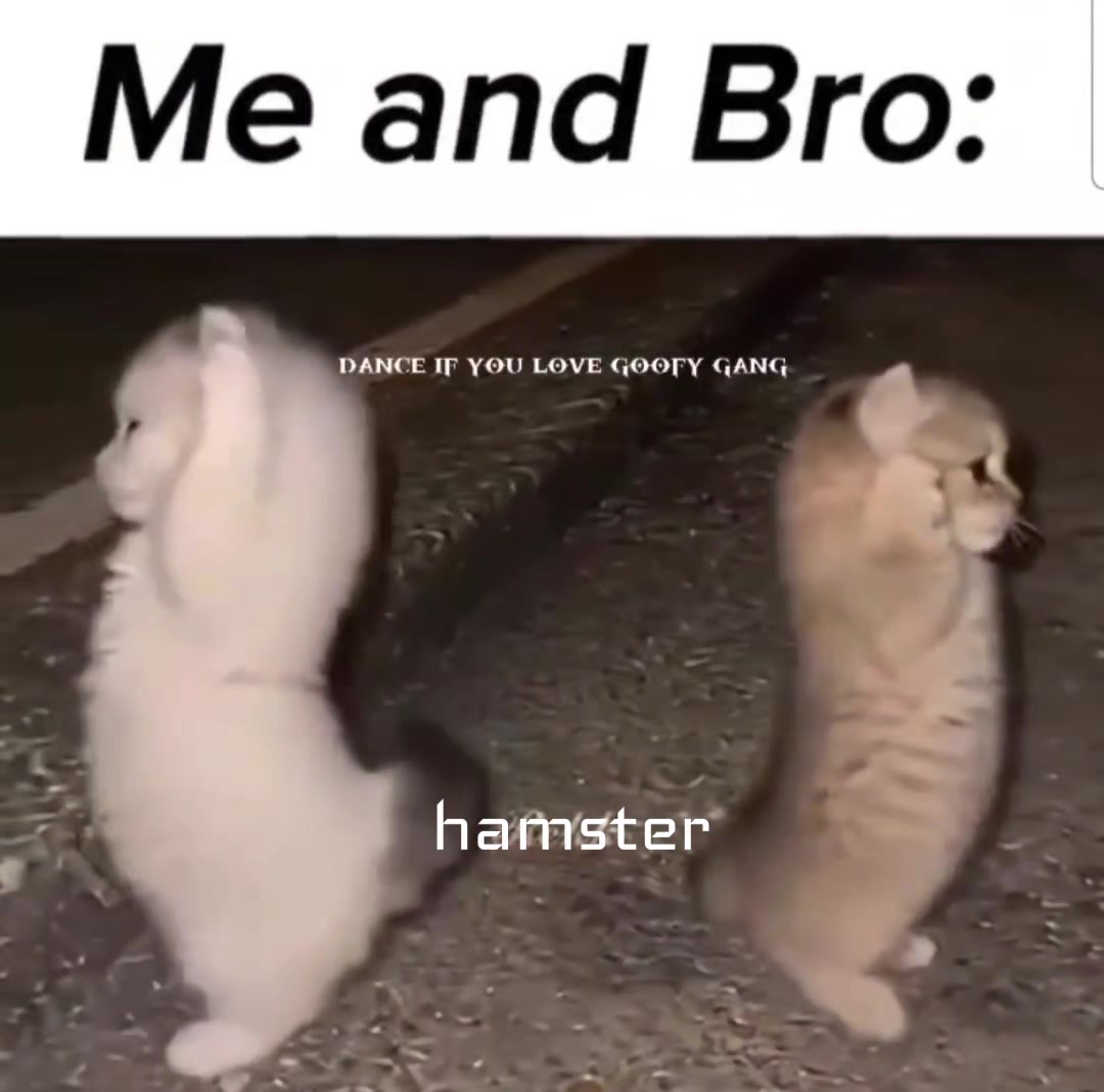 @big#hamster1