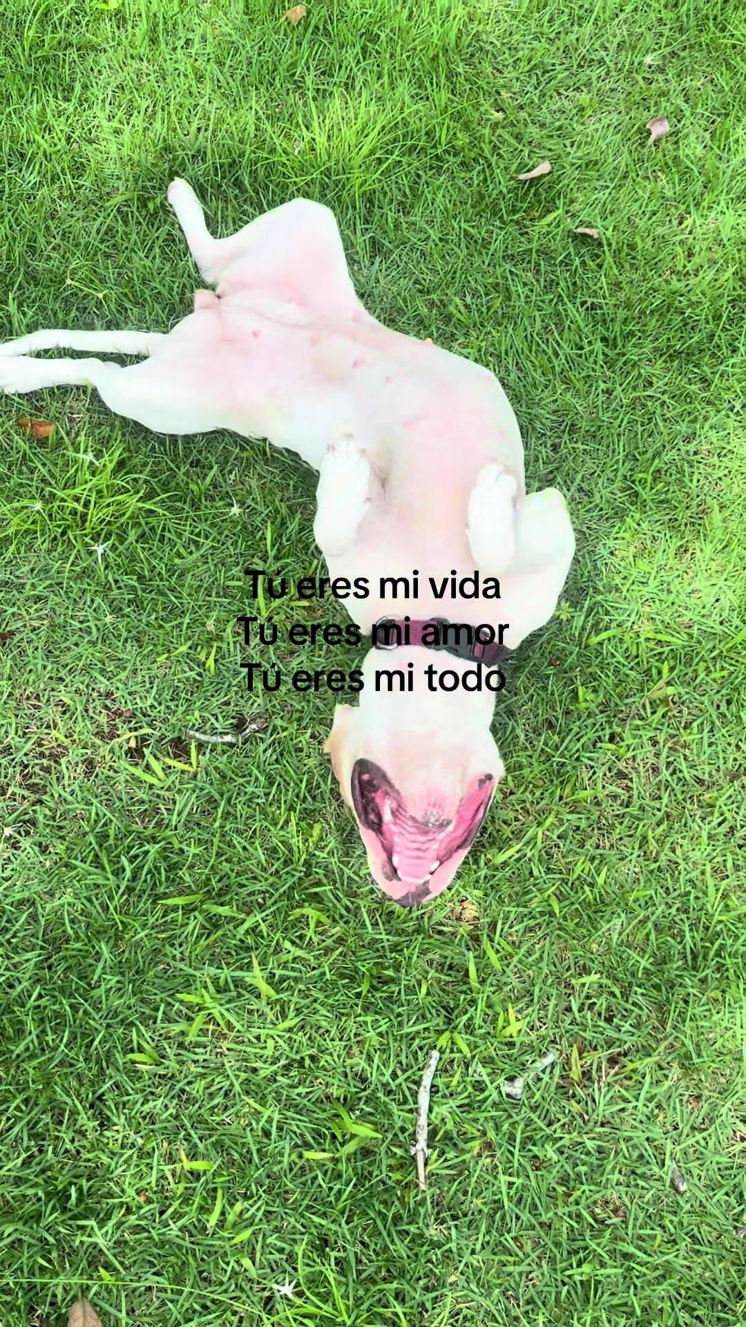 @JuanDaaaaaa26