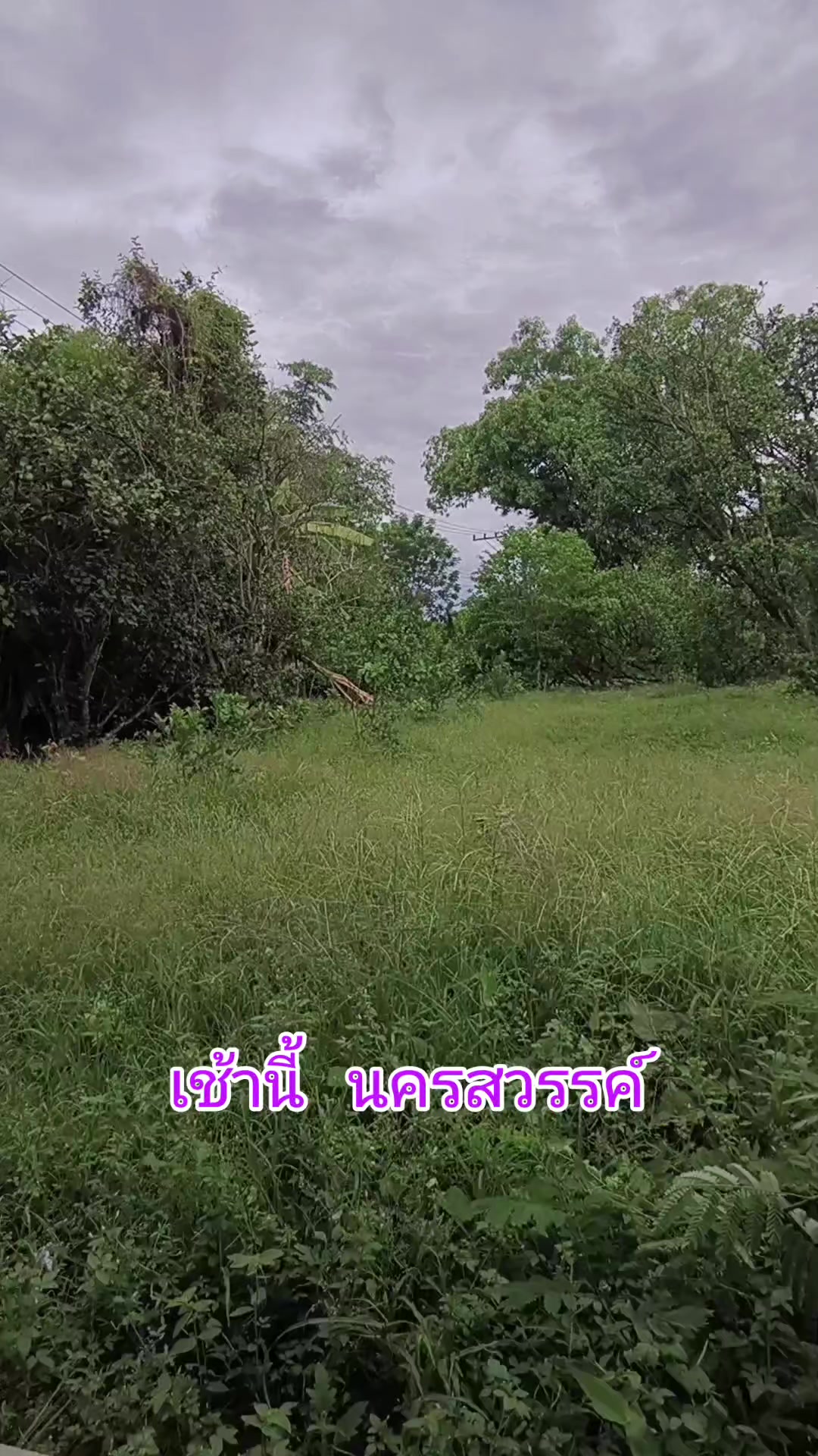 @วศ.JOJO
